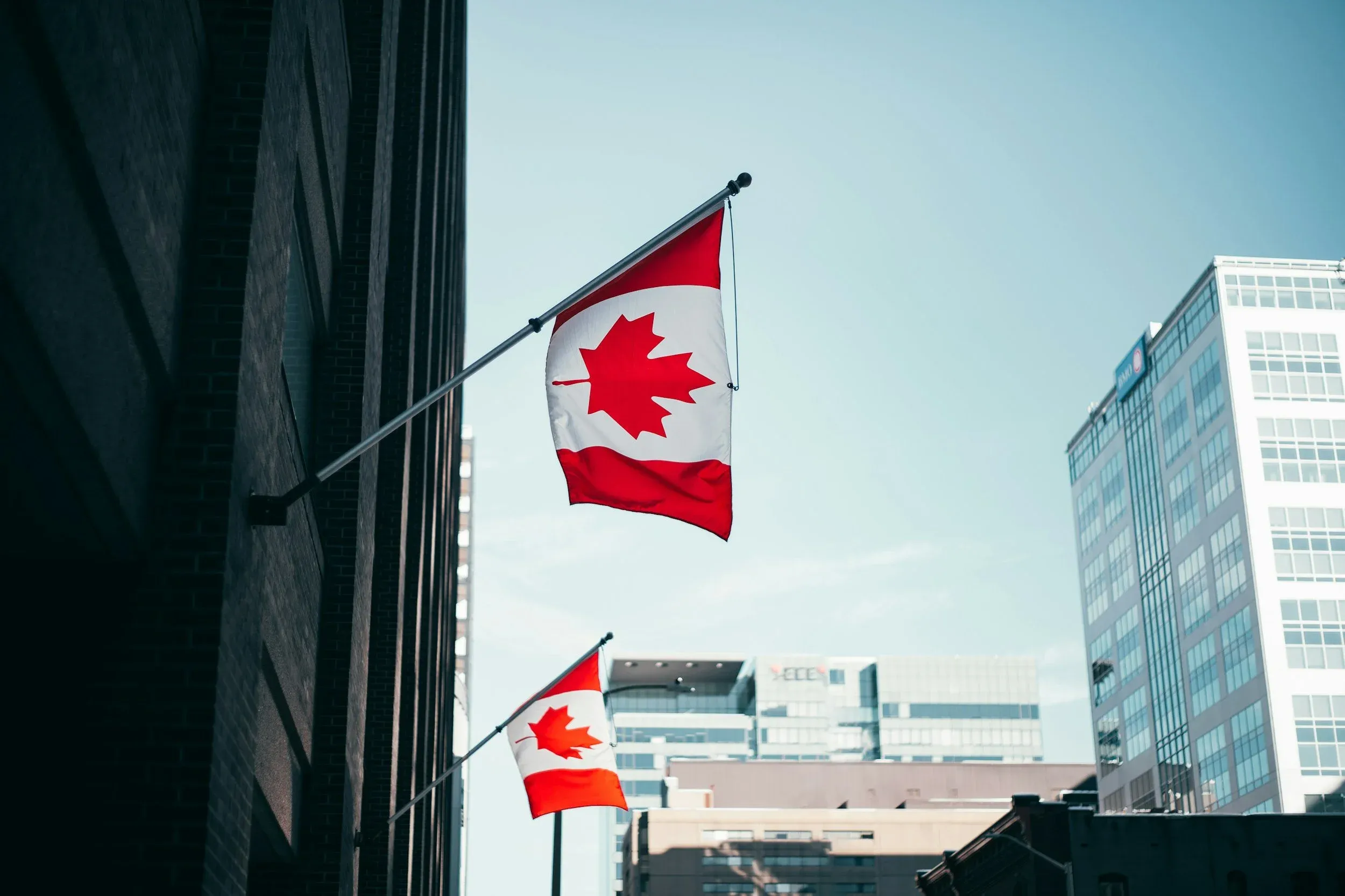 Canadian flags displayed on buildings in a downtown business district